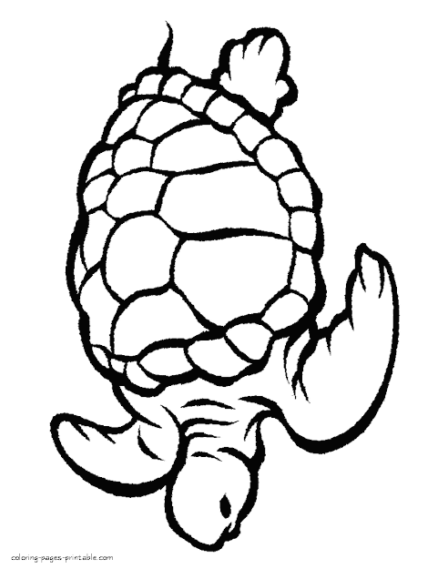 Free Sea Animals Colouring Pages