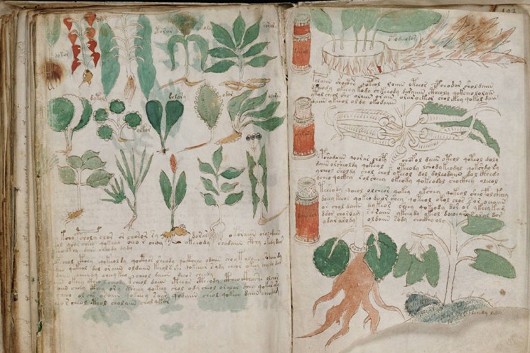 Voynich Manuscript, Buku Paling Misterius di Muka Bumi, naviri.org, Naviri Magazine, naviri majalah, naviri