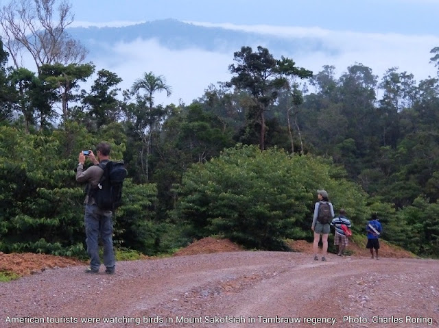 Mount Sakofsiah and Asses valley are important birding sites in West Papua for tropical birds