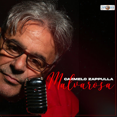  Carmelo Zappulla - TO VOGLIO DICERE - accordi, testo e video