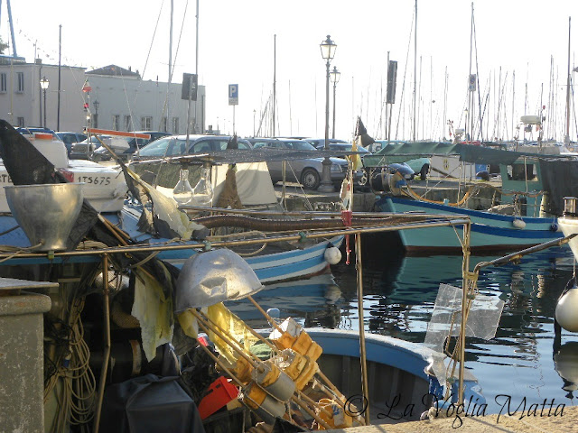 Muggia Trieste