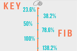 BELAJAR TRADING FOREX DAN BINARY 