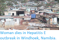 http://sciencythoughts.blogspot.com/2017/12/woman-dies-in-hepatitis-e-outbreak-in.html