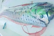   Gegara Fenomena Ikan Oarfish, 11 Turis Australia Tunda Berlibur Ke Selayar