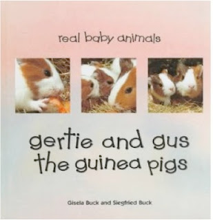 bookcover of Gertie And Gus The Guinea Pigs by Gisela Buck