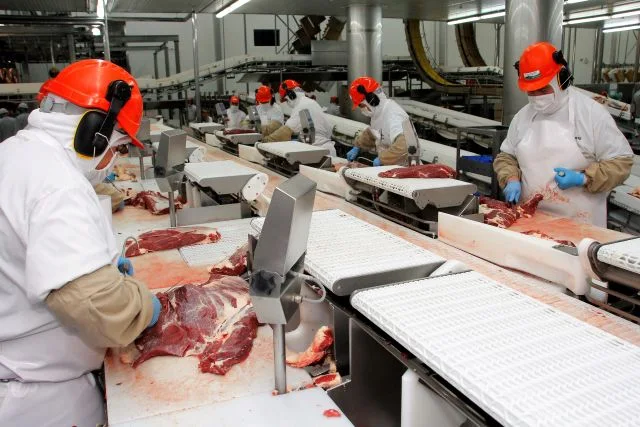 Exportación de carne bovina