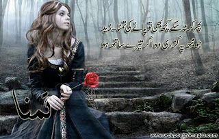 urdu shayari photos