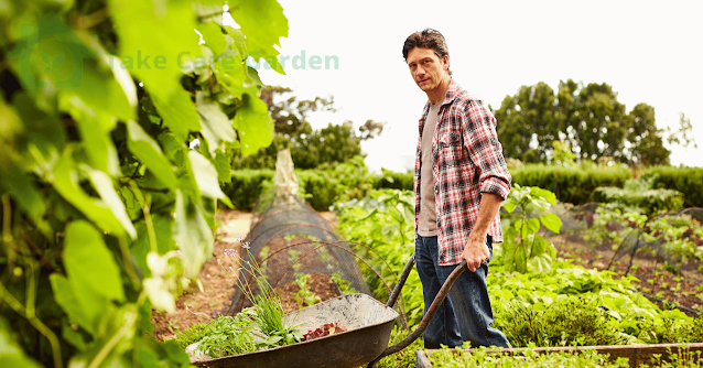 Gardening-Tips-Successfully-Grow-a-Stunning-Garden