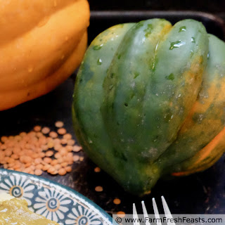 Acorn Squash Recipes