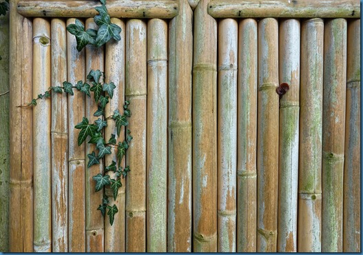 bamboo-fence-3124348_1920