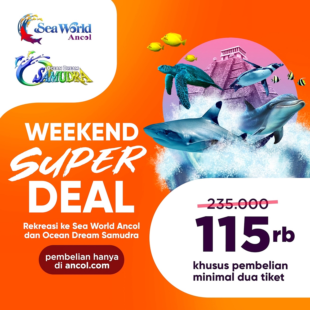 Promo Seaworld Weekend Super Deal hanya Rp. 140.000 All Day