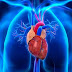 cardiovascular disease