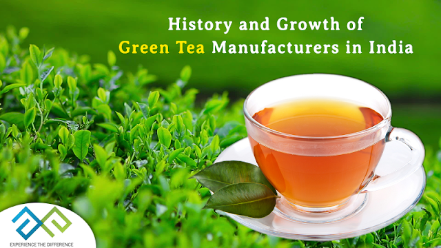 Green Tea Manufacturers