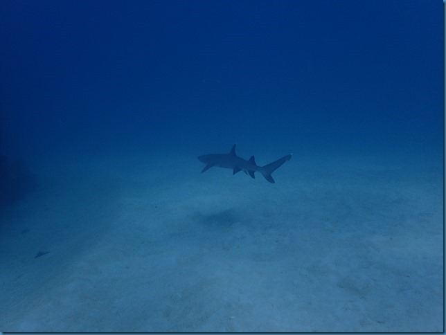 P9250351