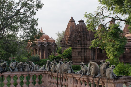 Mandore Gardens of Jodhpur