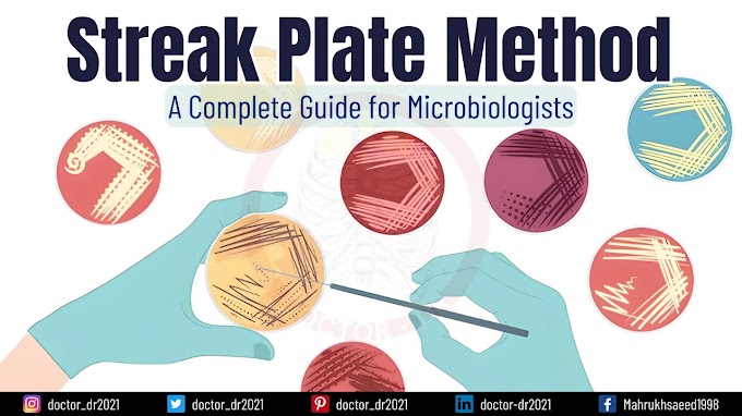 Streak Plate Method: A Complete Guide for Microbiologists
