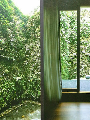 Tukang Taman Vertikal Surabaya | Vertical Garden 16