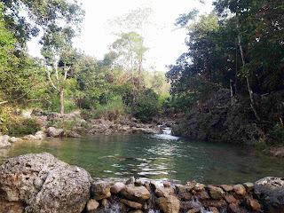 Hutan Kolhua