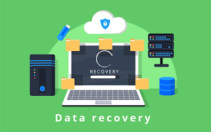Data recovery setup