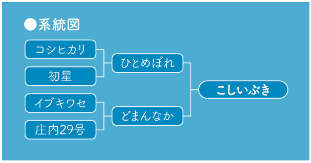 「越息吹（Koshiibuki）」品種的譜系圖