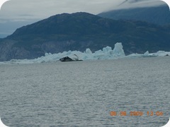 DSCN8590
