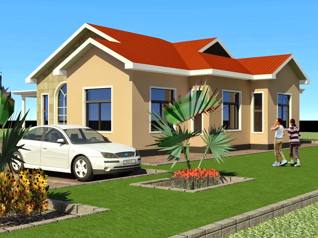  Tanzania  Modern  House  Plans 