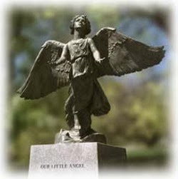 angel_new