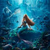 HOW TO DOWNLOAD "The little mermaid (2023) ? and full movie details are here !