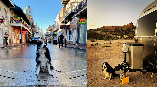 Kirby on a wet street in the French Quarter, and with Lajitas Mesa in the background.