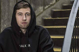 Lirik lagu Alan Walker Lily