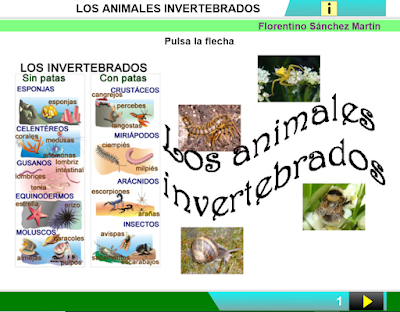 https://cplosangeles.educarex.es/web/edilim/curso_3/cmedio/animales_invertebrados_3/invertebrados/invertebrados.html