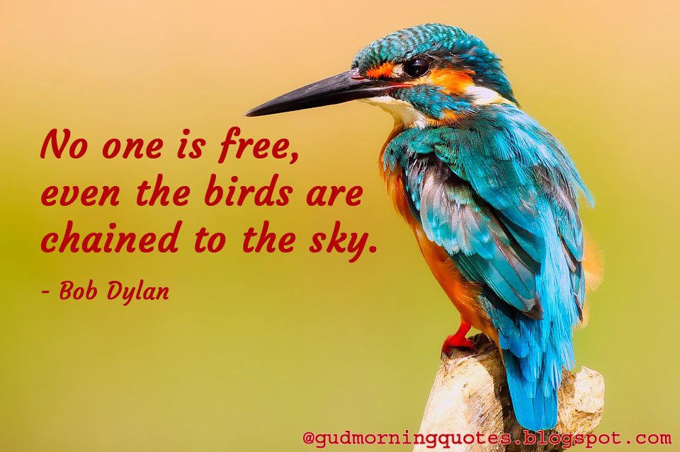 No one is free, even the birds are chained to the sky