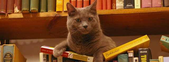 A photo of Hodge the famous cat from the Selected Works website