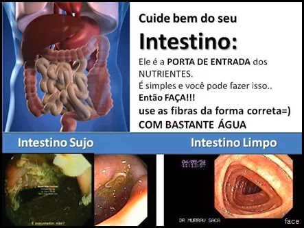 intest