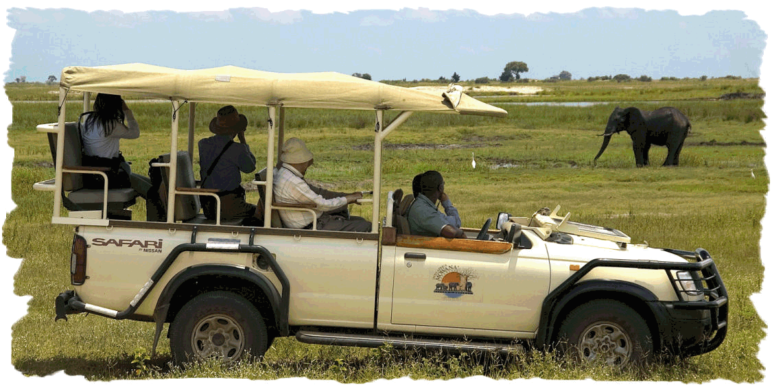 safari namibie botswana