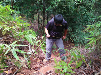 cara menuju ke cassia bintan