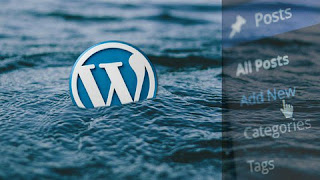 Learn everything you need to know about using WordPress to set-up your sites in minutes using the latest version 4.0