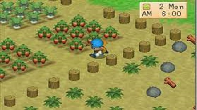  Harvest Moon adalah salah satu game yang cukup populer dan banyak dimainkan Cheat Harvest Moon Back to Nature Terbaru