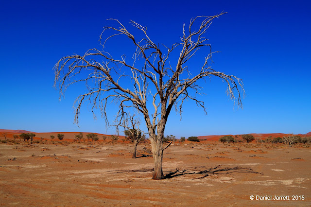 Dune 45, Namibia