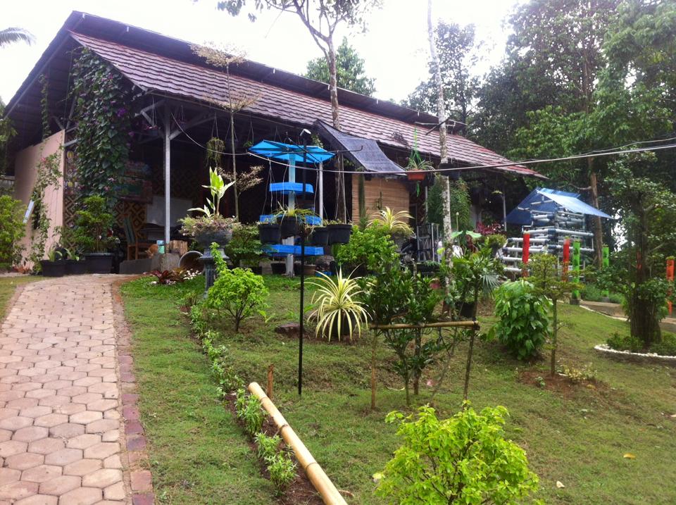  kebun  kita yang cantik di warung gunung kabupaten lebak