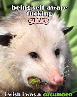 A picture of an opossum with text reading 'being self-aware fucking SUCKS / i wish i was a cucumber'.