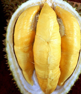 Manfaat Biji Durian Bagi Kesehatan