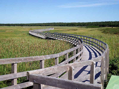 This is the walkway to one of the local beaches.