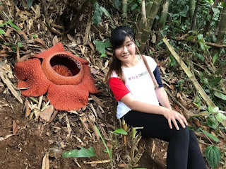 Rafflesia Arnoldii