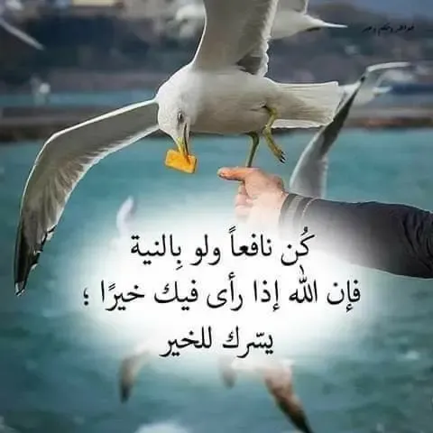 جديد الصور فيس بوك