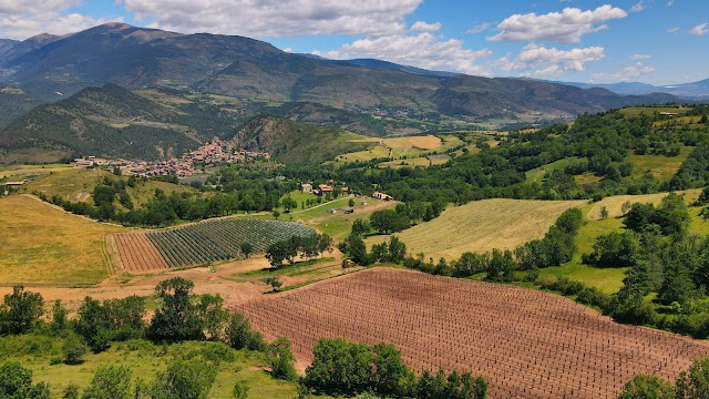 Cal Mandrat preveu doblar la producció de raïm