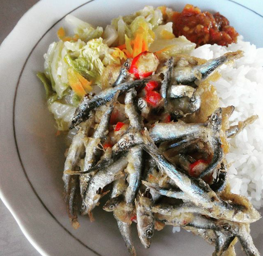 11 Olahan Ikan Teri Kaya Gizi dan Rasa Khas Nusantara. - Nutrisi Untuk
