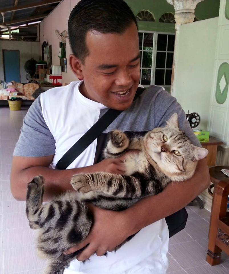 Kawasan Lynn Damya: JEP Kucing Popular di Malaysia 