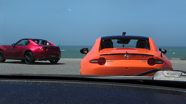 Burgundy and Orange Miatas with Pacific Ocean and Gull