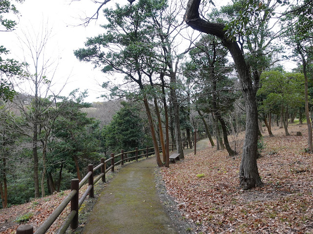 むきばんだ史跡公園　弥生の森遊歩道